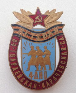 Знак 4 ДНО 84 Гвардейская Карачевская СД