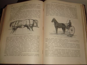 Урусов С. П. Книга о лошади.  1 том. 1911 год