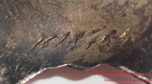 Орден Красной Звезды № 1618764,Мон.Двор