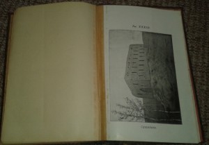 Н.М. Вирский. Виноградарство в Самаркандском уезде. 1896г.