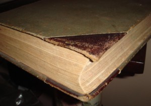 Урусов С. П. Книга о лошади.  1 том. 1911 год