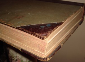 Урусов С. П. Книга о лошади.  1 том. 1911 год