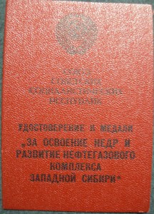 Нефтегаз с документом в люксе