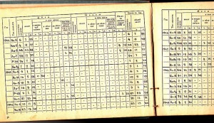 Лет. книжка летчика-истребителя с 1932г.