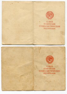 Вена 5 шт