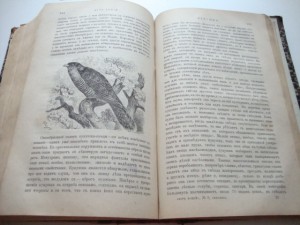 Мир Божий. 1893г. Полугодовой.