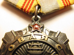 Трудовая Слава № 0825 в комплекте с документами