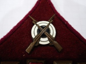 Петлицы довоенные, на полковника