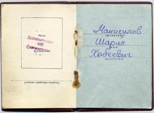 Невский за Венгрию, док с одной записью