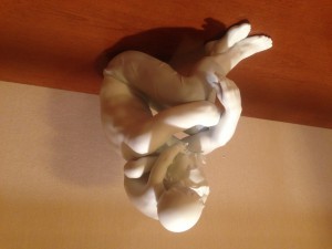 "Я ЛЮБЛЮ ТЕБЯ, ПАПА"  Spain, LLadro