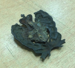 21 пех Муромский полк