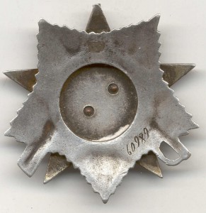 ОВ 2 ст. № 60971 (Подвесная) на доке