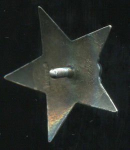 КЗ№334748 гайка серебро