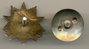 Отечка №156671  (6166)