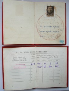 Два дока к орденам