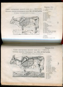 Практ. основы кулинарного искусства.
