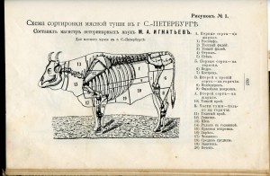 Практ. основы кулинарного искусства.