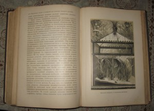 Комнатное садоводство.