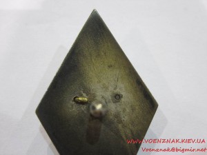 ВА имени Фрунзе, герб на "усах".