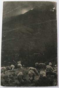 Разное.Любая-100р.