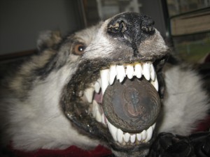 Гривенники погодовка