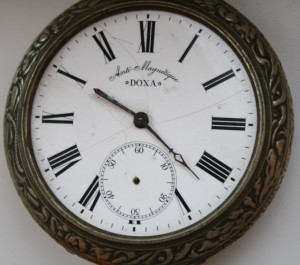 DOXA крупная луковица.