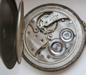 DOXA крупная луковица.
