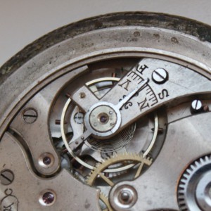 DOXA крупная луковица.