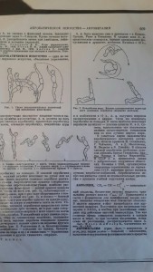 Комплект на двух братьев, ЗП (мондвор, № попорядку)
