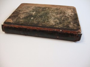 Сказание о Земной жизни Пр. Богородицы. 1888г. R.