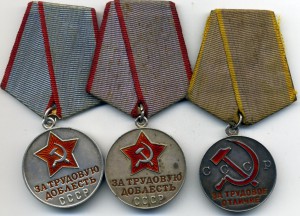 Пять трудовых медалей в родном сборе