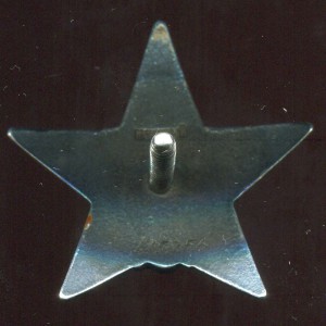 КЗ№415256 гайка серебро реверс изморось