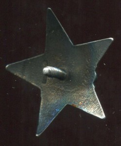 КЗ№415256 гайка серебро реверс изморось