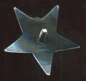 КЗ№415256 гайка серебро реверс изморось