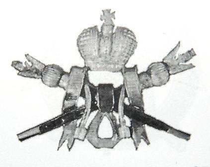 Лейб-гвардии Сводно-казачий полк