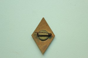 ГСО и БГСО в виде ромбов: крепление застёжкой.