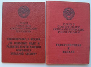 Нефтегаз с доком