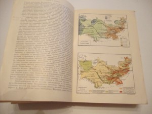 Россия. Т-19. Туркестанский край. 1913г.