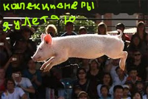 ДОК НА ГРАНИЦУ