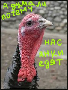 ДОК НА ГРАНИЦУ