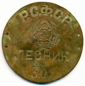 Служебная нагрудная бляха: ЛЕСНИК, РСФСР.