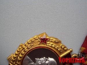 Орден Ленина №226920