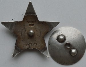 К.З. №243389 (убитая)