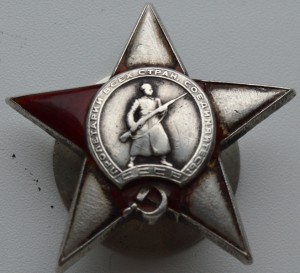 К.З. №243389 (убитая)