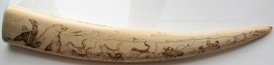 Клык моржа с рисунком