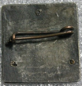 VI Всесоюзный физиологический съезд - 1937-й год.