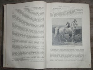 "Книга о лошади"   1911г.   князь С.П. Урусов.  Два тома.
