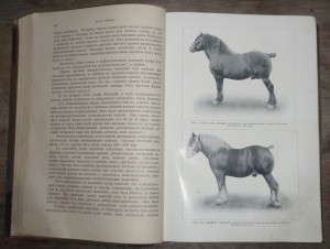 "Книга о лошади"   1911г.   князь С.П. Урусов.  Два тома.