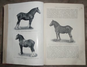 "Книга о лошади"   1911г.   князь С.П. Урусов.  Два тома.