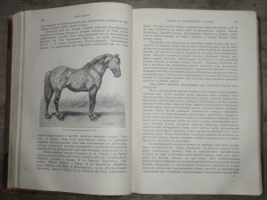 "Книга о лошади"   1911г.   князь С.П. Урусов.  Два тома.